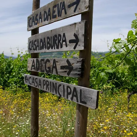 River View Ate Terrus Winery Резенде