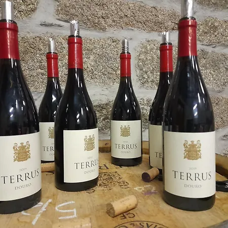 River View Ate Terrus Winery Дом отдыха *