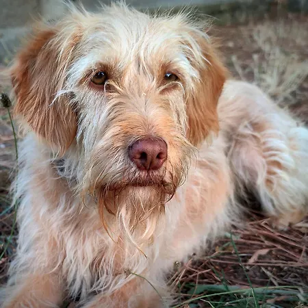 펜션 River View Ate Terrus Winery