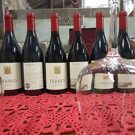 River View Ate Terrus Winery * ريزندي