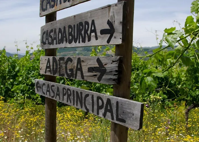 River View Ate Terrus Winery Resende