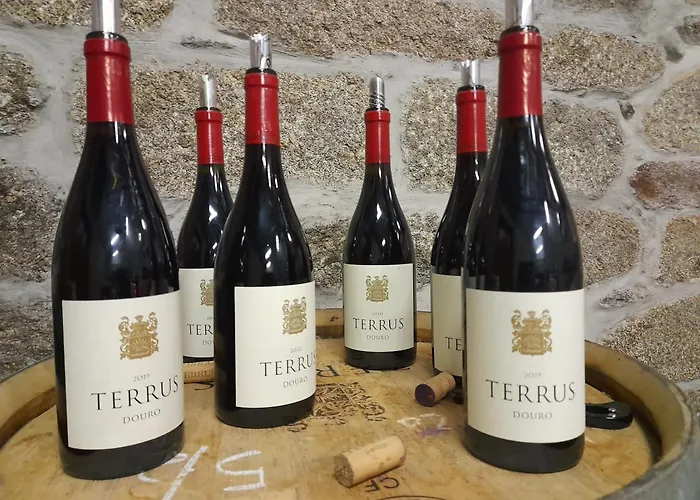 River View Ate Terrus Winery 펜션 *