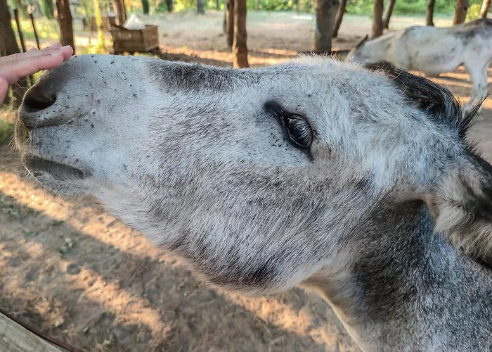 River View Ate Terrus Winery Ferienhaus *