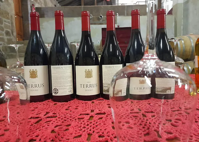 River View Ate Terrus Winery * 레센데